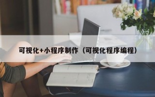 长春可视化+小程序制作（可视化程序编程）